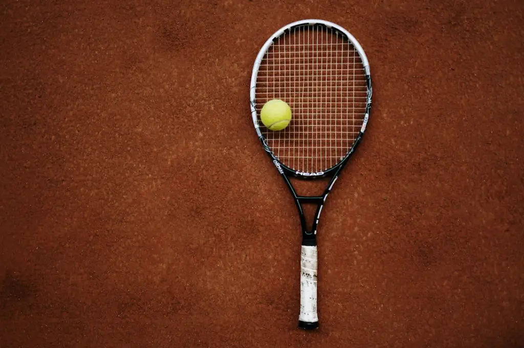 2024溫布頓男單冠軍大預測：台灣球迷最期待的球星是誰？